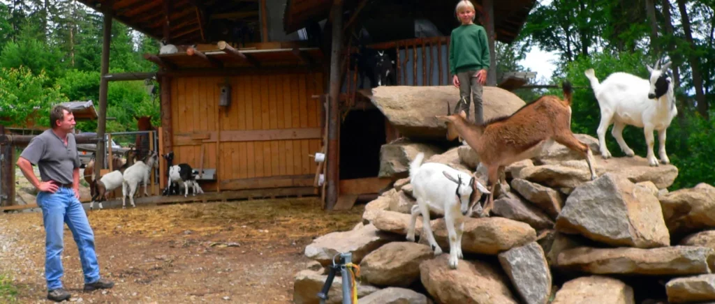 Bayerischer Wald Selbstversorgerhütte in Bayern für Gruppen günstig mieten